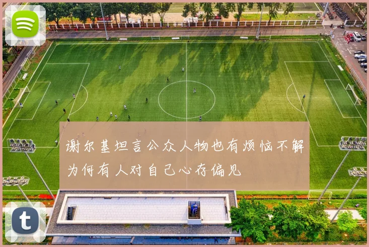 谢尔基坦言公众人物也有烦恼不解为何有人对自己心存偏见