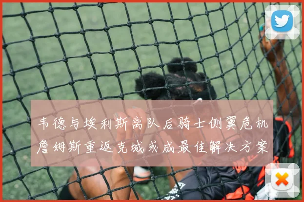 韦德与埃利斯离队后骑士侧翼危机詹姆斯重返克城或成最佳解决方案