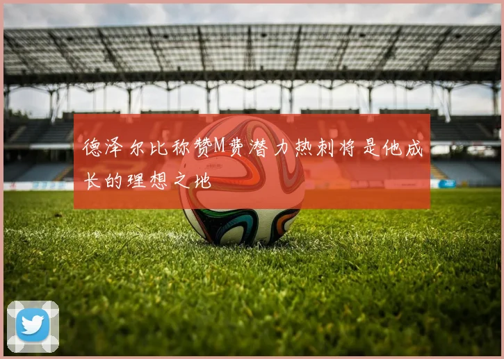 德泽尔比称赞M费潜力热刺将是他成长的理想之地